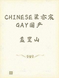 CHINESE梁亦宸GAY国产