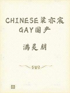 CHINESE梁亦宸GAY国产