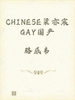 CHINESE梁亦宸GAY国产