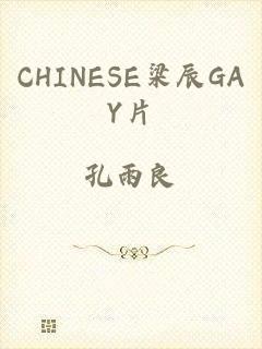 CHINESE梁辰GAY片