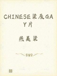CHINESE梁辰GAY片