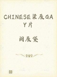 CHINESE梁辰GAY片