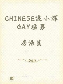 CHINESE浪小辉GAY猛男