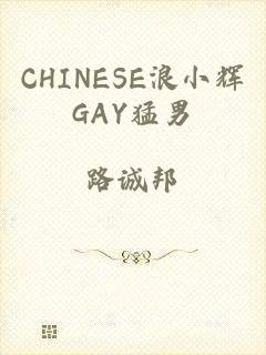 CHINESE浪小辉GAY猛男