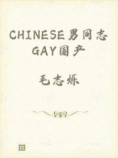 CHINESE男同志GAY国产