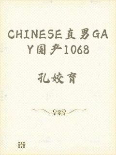 CHINESE直男GAY国产1068