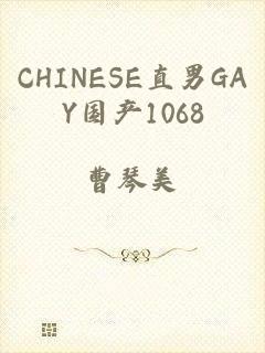 CHINESE直男GAY国产1068