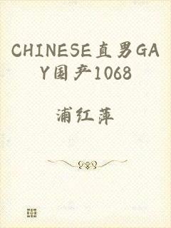 CHINESE直男GAY国产1068