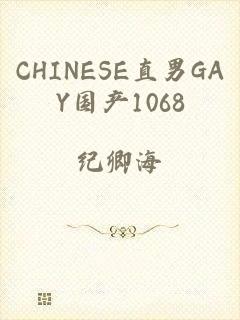 CHINESE直男GAY国产1068