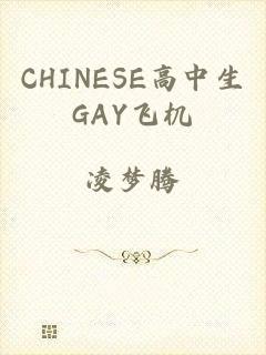 CHINESE高中生GAY飞机