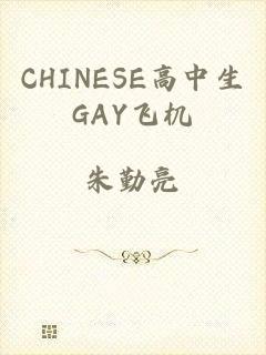 CHINESE高中生GAY飞机
