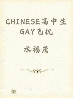 CHINESE高中生GAY飞机