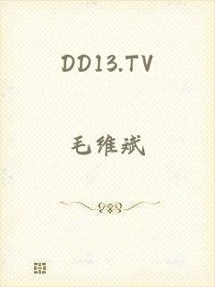 DD13.TV