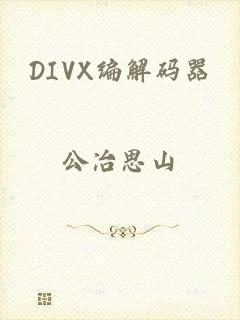 DIVX编解码器