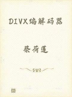 DIVX编解码器