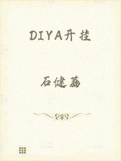 DIYA开挂