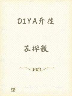 DIYA开挂