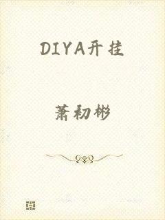 DIYA开挂