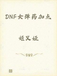 DNF女弹药加点