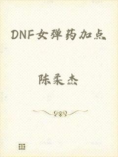 DNF女弹药加点
