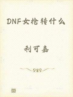 DNF女枪转什么