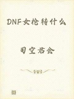 DNF女枪转什么