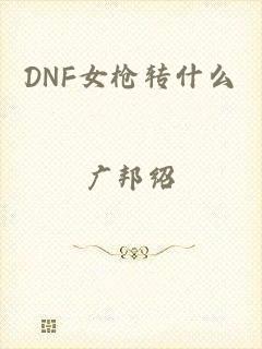 DNF女枪转什么