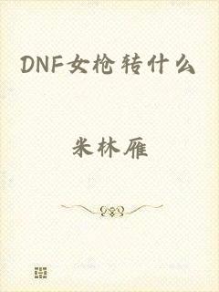 DNF女枪转什么