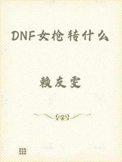 DNF女枪转什么