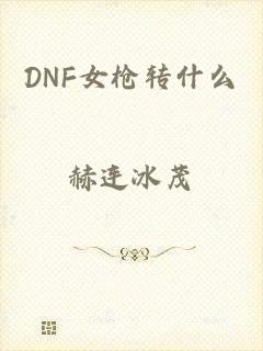 DNF女枪转什么