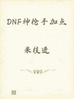 DNF神枪手加点