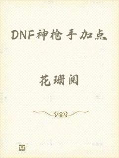 DNF神枪手加点