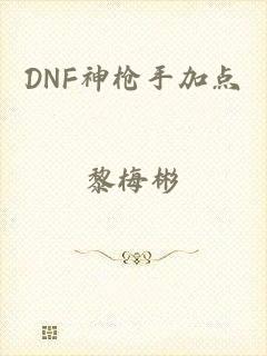 DNF神枪手加点