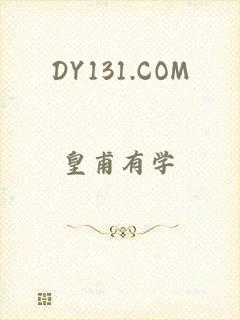 DY131.COM