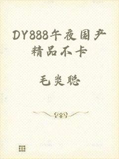 DY888午夜国产精品不卡