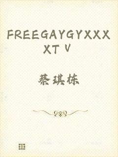 FREEGAYGYXXXXTⅤ