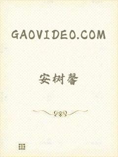 GAOVIDEO.COM