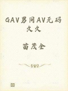 GAV男同AV无码久久