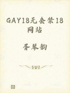 GAY18无套禁18网站