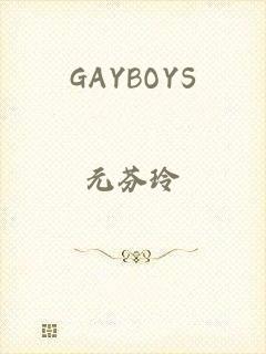 GAYBOYS