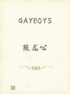 GAYBOYS