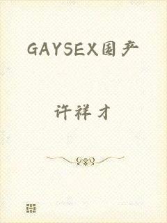 GAYSEX国产