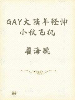 GAY大陆年轻帅小伙飞机