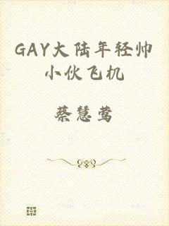 GAY大陆年轻帅小伙飞机