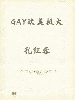 GAY欧美粗大