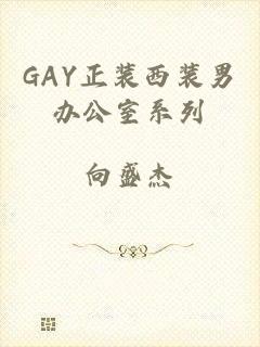 GAY正装西装男办公室系列