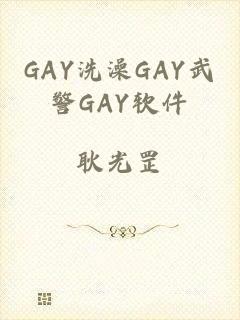 GAY洗澡GAY武警GAY软件