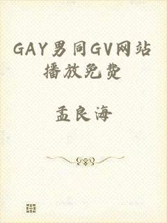 GAY男同GV网站播放免费