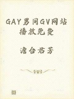 GAY男同GV网站播放免费