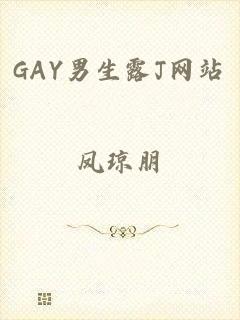 GAY男生露J网站